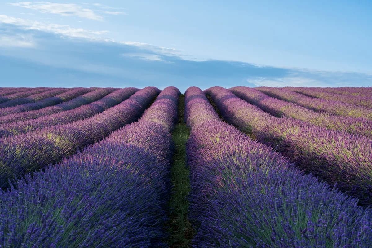 Paysage Alpes-de-Haute-Provence
