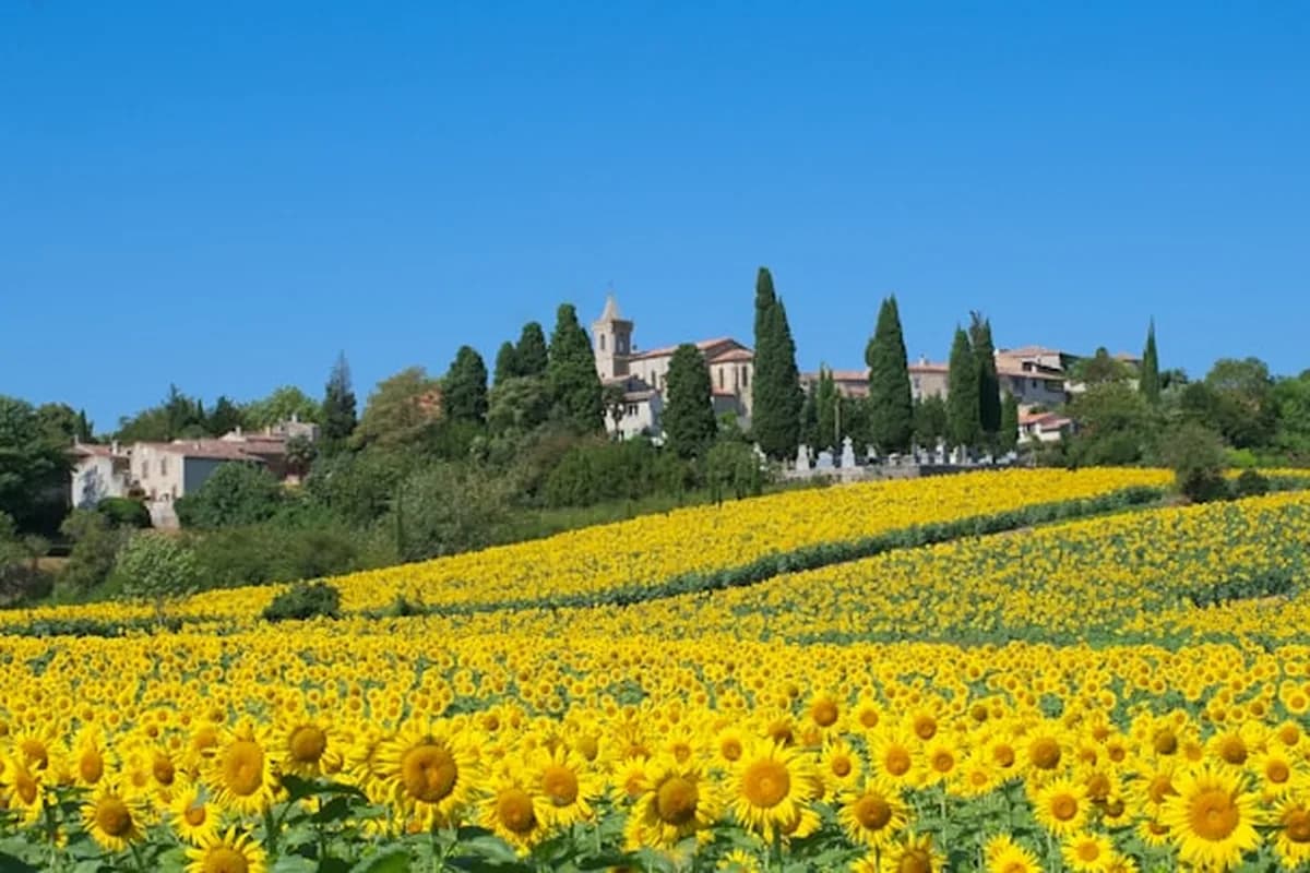 Paysage Aude