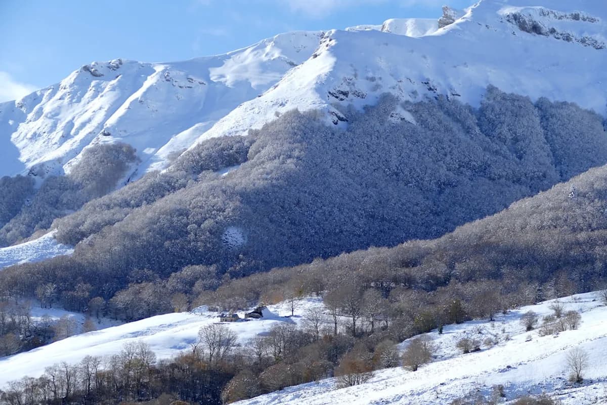 Paysage Cantal