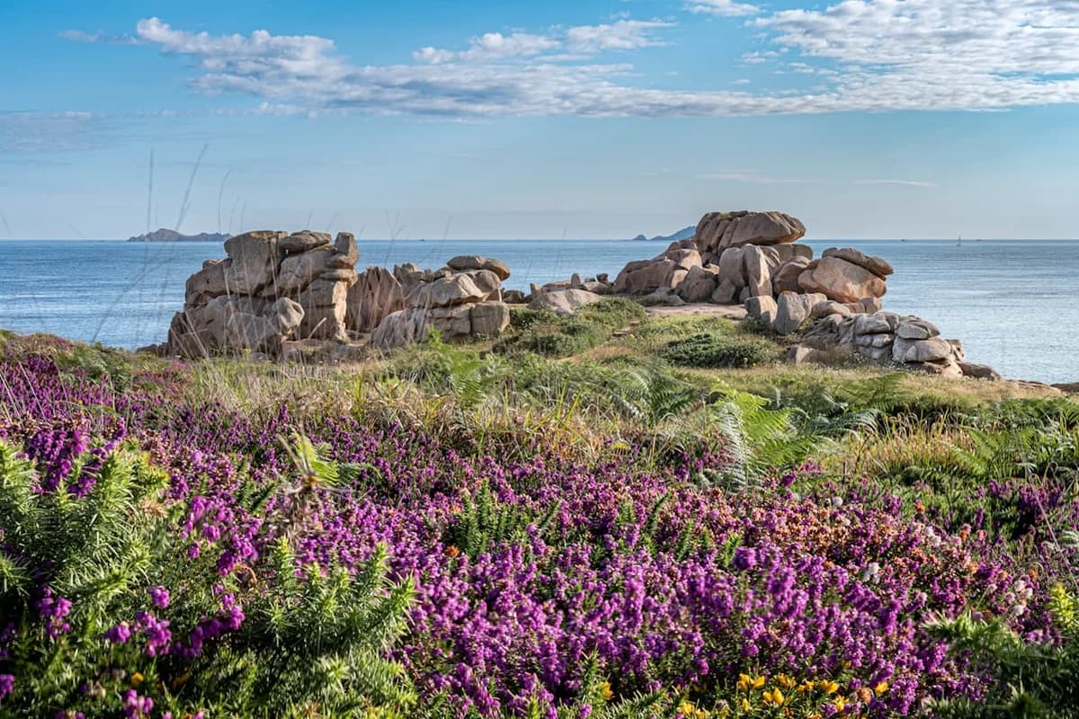 Paysage Côtes-d'Armor