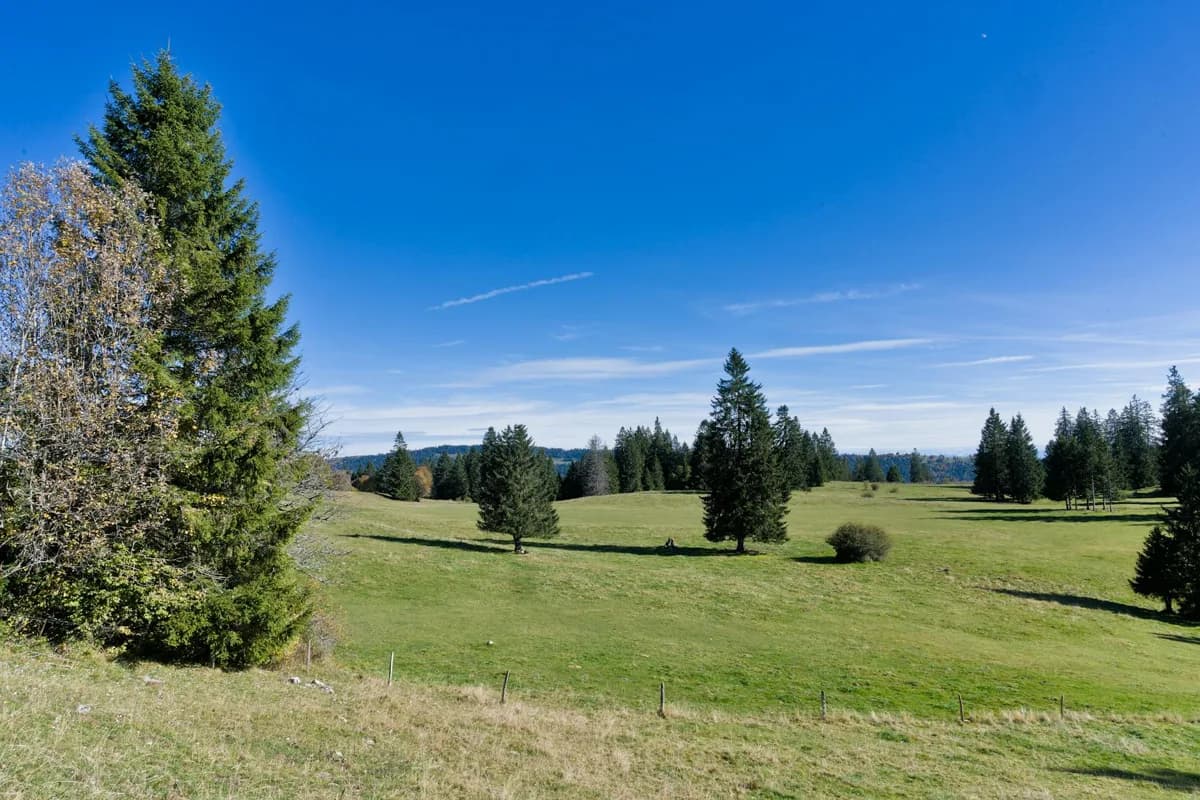 Paysage Jura