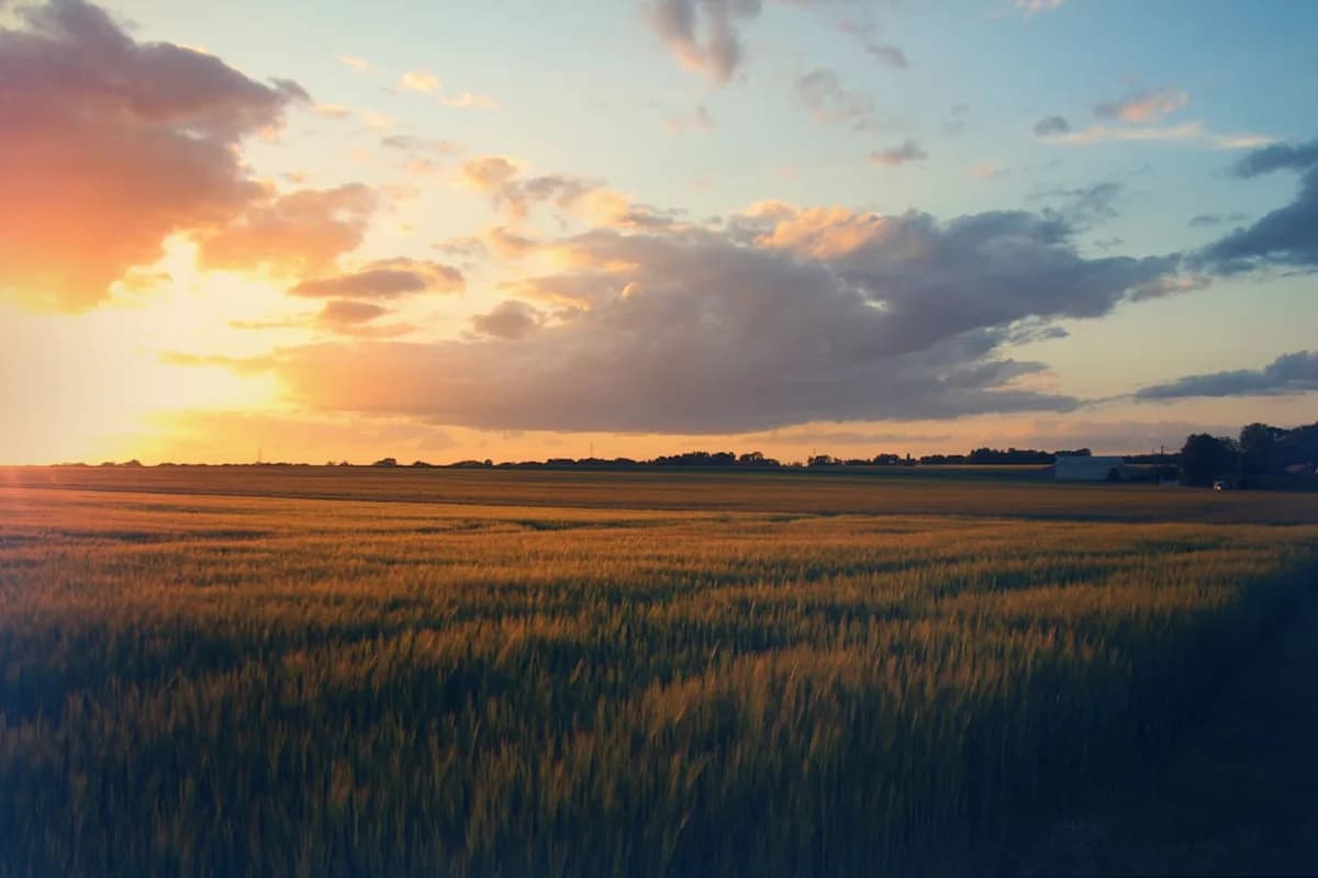 Paysage Loiret