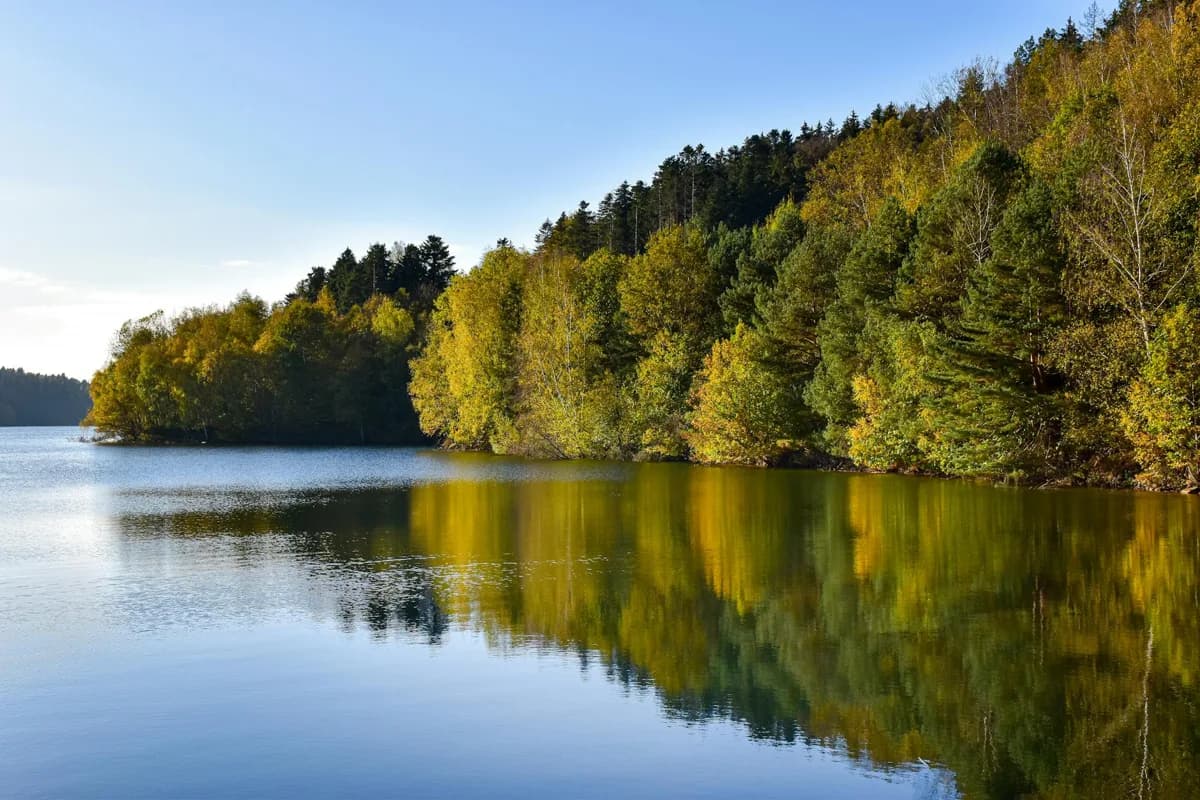 Paysage Vosges