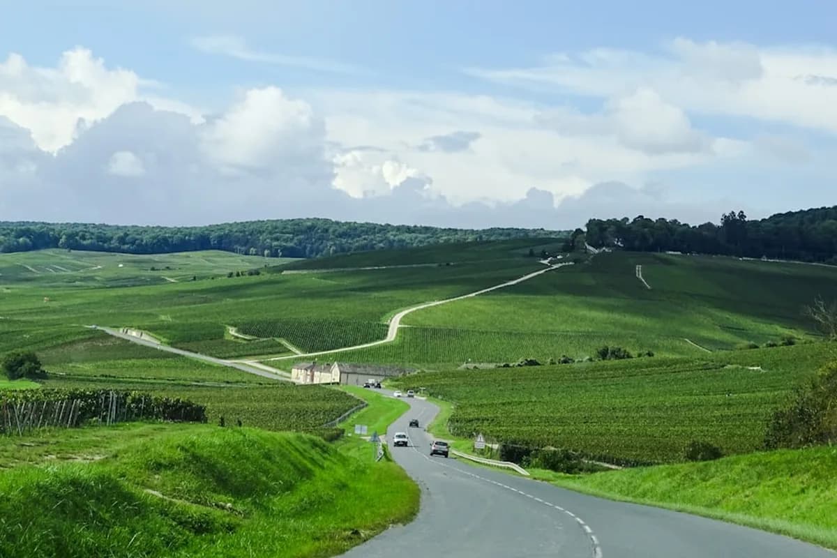 Paysage de Grand Est